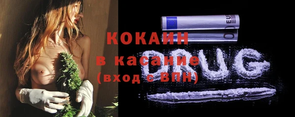 ПСИЛОЦИБИНОВЫЕ ГРИБЫ Абаза
