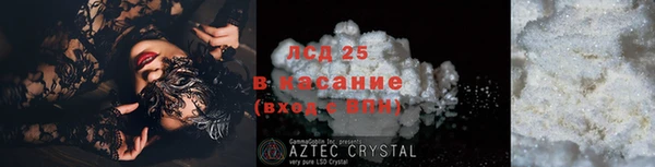 PSILOCYBIN Абдулино