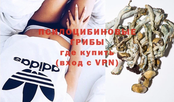 прущие грибы Алексеевка