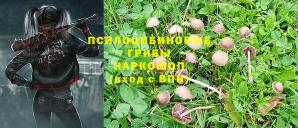 spice Абинск